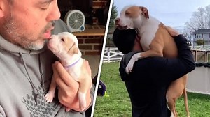 Grown-up pitbull still thinks she's daddy's little girl ❤ Follow us on YouTube: youtube.com/geobeatsanimals | GeoBeats Animals