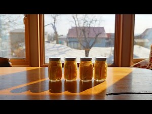 One Windy Spring Day in Japan | Bamboo Shoots and Butterbur Scapes