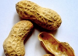 Deez Nuts! A Gallery Of People Who Don't Know What BOFA Is