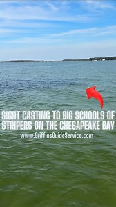 13K views · 34 reactions | Do you want to experience World Class...