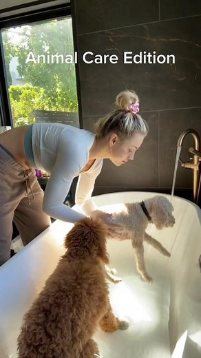 Charly Jordan on TikTok