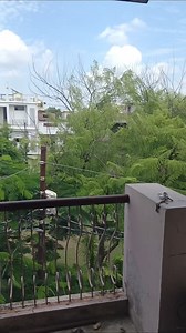 41K views · 2K reactions | Satish Kumar on Reels | Facebook