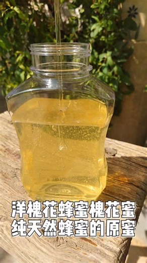 洋槐蜜槐花蜂蜜纯天然蜂蜜的原蜜蜂蜜的功效与作用纯正蜂蜜水浅色蜂蜜 #槐花蜜 #蜂蜜 #蜂王浆 #蜂胶 蜂皇浆蜂巢蜜蜂花粉小牛蜂蜜真正的纯蜂蜜#洋槐蜜