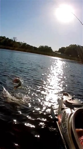 INSANE Fight on This Lure! 🎣🔥