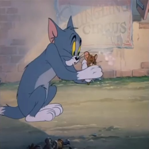 Best Cartoon Netflix 2025 | Cartoon Videos