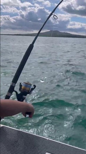 Some footage from my fishing #ihavethisthingwithplants