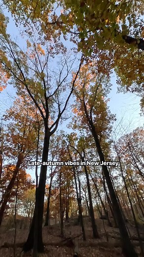 New Jersey is wearing its late-autumn char 📍Paterson, NJ #naturelovers #love #newjersey #nj #mountains | Wanderlust Vibes