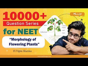 10000+ Questions Series for NEET | Morphology of Flowering Plants | NCERT Based Question Practice