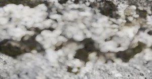 Video by Will Taylor 🎻 on Pexels