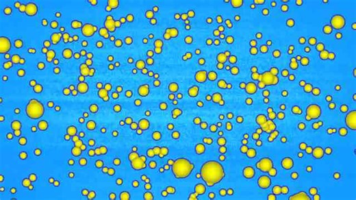 Ab workout & cardio fat burning routine