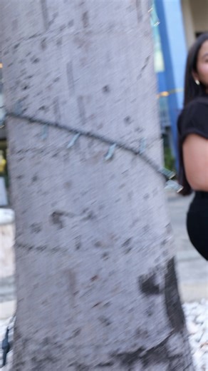 81K views · 209 reactions | Este Black Friday, EDUTEC te da el empujón:  Diplomados en Recursos Humanos, Nómina, Contabilidad, Finanzas, Logística, Calidad, Derecho Laboral, Seguridad y Salud, Marketing, Liderazgo y más.  100% en línea, en vivo, con docentes expertos.  35% de descuento total hasta el 30 de noviembre. | Centro de capacitaciones Edutec | Facebook