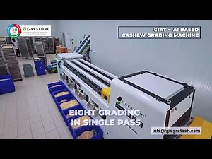 AI Deep Learning Cashew Kernel Grading machine