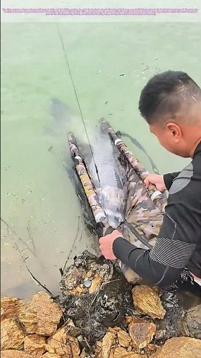 Netting the Giant: Teamwork at the Water's Edge