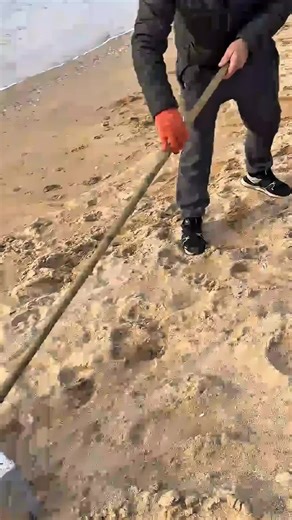 Beach Treasure Hunting: Fun and Impactful Finds