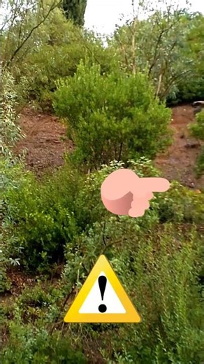 #PourToi #FYP #Viral #AstuceTech #Découverte #smartphone #pc