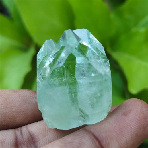 Super Clear Light Green Apophyllite Crystal Multi Headed Point Enchanting Chakra Third Eye Crystal Specimen Point / Green Apophyllite Point - Etsy