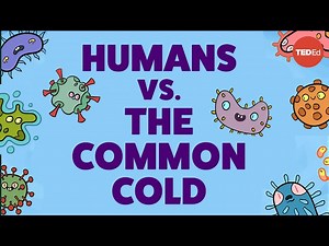 Why is it so hard to cure the common cold? - Videos For Kids