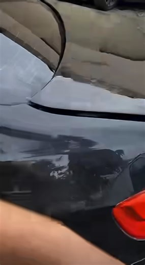 Discover Unique BMW Customizations By Enthusiasts