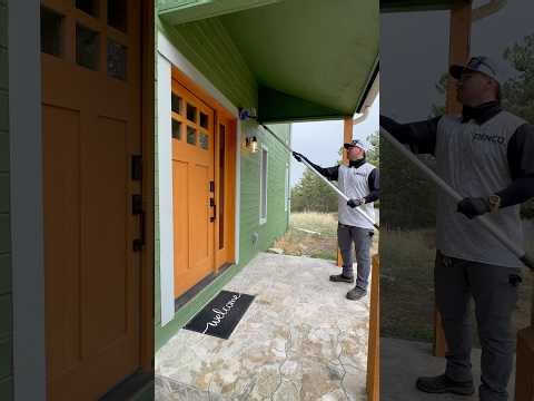 Why Removing Spider Egg Sacs is CRUCIAL | Colorado Pest Control