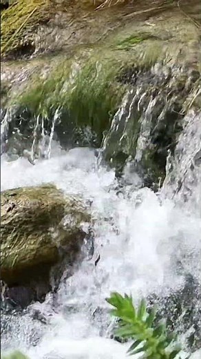 Mountain Stream Sounds 🌿 Relaxing Nature for Deep Sleep