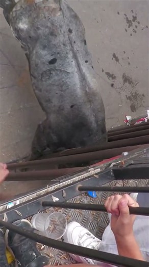 🐂😱 ¡PÁNICO EN EL CADAFAL! EL TORO METE LA CABEZA Y DESATA EL CAOS 🔥 #Toros #BousAlCarrer