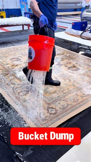151K views · 648 reactions | Whether it's "Bucket Drop" or "Bucket Dump", it's still our favorite way to evenly distribute our cleaning solution onto a rug! 画 | ATC Rug Washing & Specialty Cleaning Services | Facebook