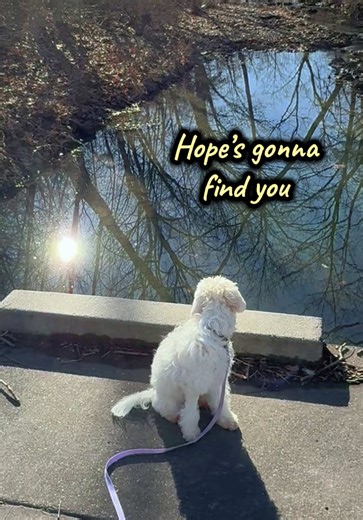Hope’s gonna find you #fyp #therapy #christian #faith #hope