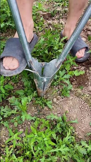 Fast Seedling Transplanting Routine: WatchFoot-Driven Duckbill Planters Setting Seedlings in Seconds