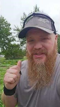 🌿 DIY Natural Weed Killer Spray Recipe | Safe, Cheap & Works FAST! 🌱💥#DIYWeedKiller