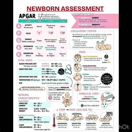 Newborn assessment #neonatal #assessment #nclex Have a look in comments and share your views!