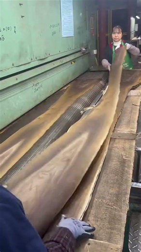 wood processing process #shorts