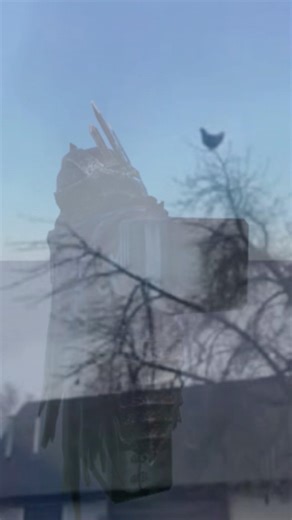 Scream contest#roblox #robloxanimation #funnyvideo #funny #funnymoments #animation #shorts #comedy