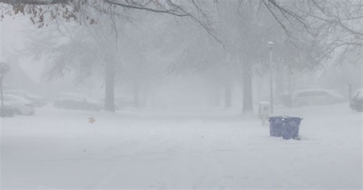 Kansas elementary school teacher found dead in snow days after going missing