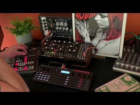 JAM - Transposing Moog Arps #modular #synthesizer #mother32 #korgsq64 #SQ64 #korgEM1