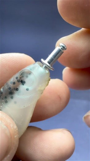 The Simplest Fishing Rig That Pros Secretly Use #fishingrig #secretfishingrig #fishinghack