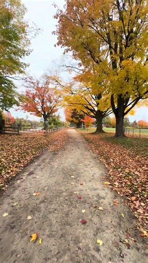 natural park in canada in fall season