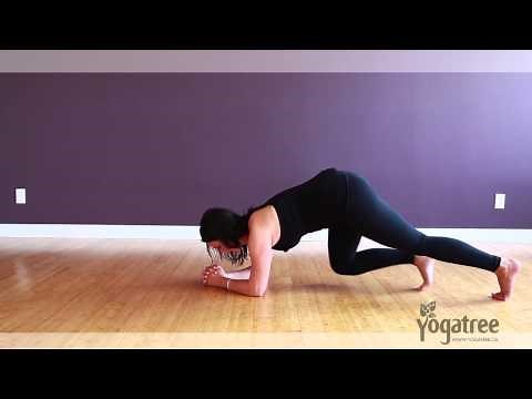 How to Do a Dolphin Plank - Step by Step Breakdown Yoga Tutorial
