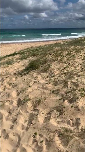 🇦🇺 Conheça e venha viver o extraordinário da Austrália.