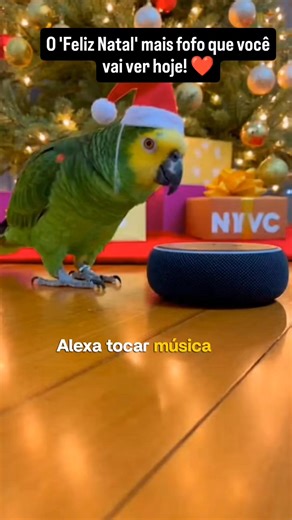 Desfrutando Dezembro com o Melhor DJ e Alexa