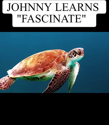😂Little Johnny Jokes - Little Johnny Can You Use Fascinate In A Sentence. #jokes #funny #littlejohnny | FUNNY JOKES