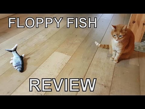 Alvi cat : floppy fish review