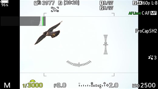 1.1K views | I attach a Desview V5 HDMI recorder to my OM-1 to...