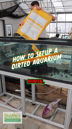 How To Setup A Dirted Aquarium! Check this out! What are your thoughts on this? We have been growing and potting Val in-house! Shop Now! TANK ON! 👇👇👇 Dustin's Dirt Packs. (Aquarium Substrate Our own Premier Mix) 👇 https://dustinsfishtanks.com/products/dustins-dirt-packs-aquarium-substrate-premier-mix Vallisneria Spiralis Leopard (Easy Background Aquarium Plant) 👇 https://dustinsfishtanks.com/products/vallisneria-spiralis-leopard #greenhouse #val #vallisneria #substrate #dirt #plantedaquariu