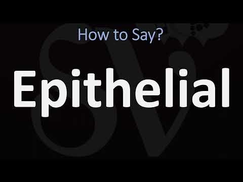 How to Pronounce Epithelial (CORRECTLY)