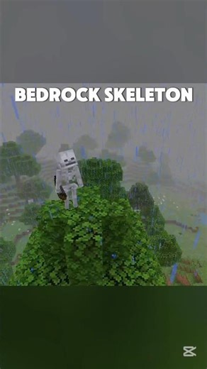 JAVA S BEDROCK SKELETON 😎🔥 #minecraft
