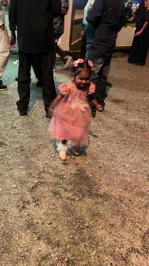 Butterfly Dance at West Indian Wedding Reception