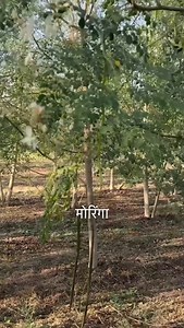 23M views · 27K reactions | Apni Sehat Ko Supercharge Karo Saptamveda...