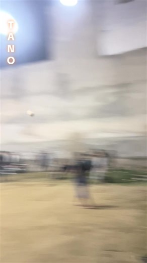 Funny Volleyball Moments Compilation