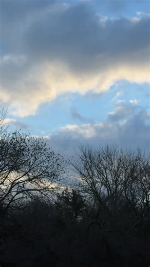 940-210-3384 #here2help