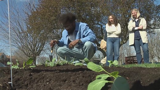 Community gardening initiative returns to the Quad Cities for a second year